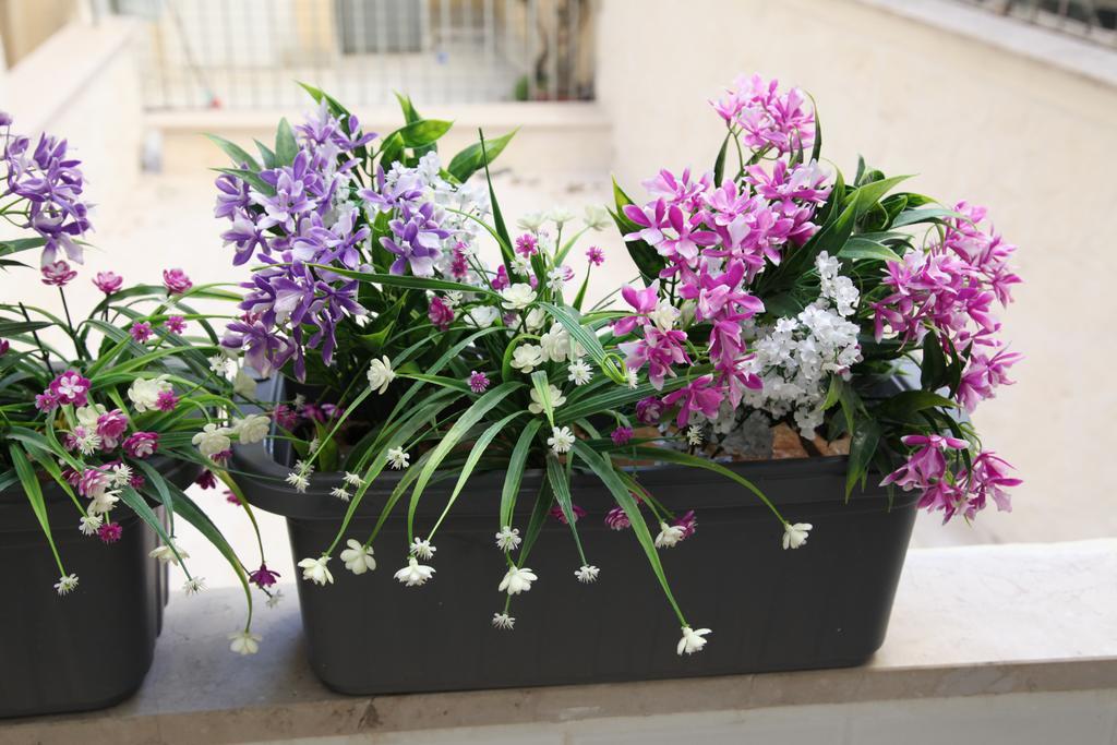 Due Passi Dal Borgo Antico Apartment Bari Luaran gambar